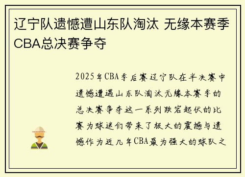 辽宁队遗憾遭山东队淘汰 无缘本赛季CBA总决赛争夺